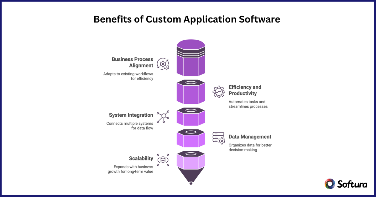 custom application software development